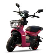 MOTO ELÉCTRICA TORVAN VOLT