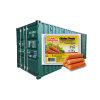 Salchicha de Pollo Frangosul (340g) - Contenedor