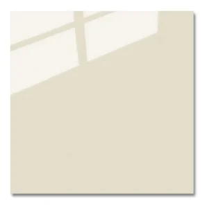 LOSAS DE PORCELANATO 60 X 60
