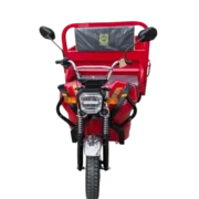 Triciclo Eléctrico