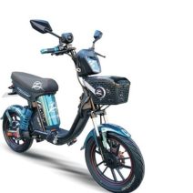 BICIMOTO MISHOZUKI 48V X 45 AH