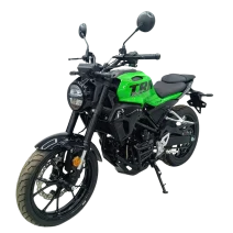MOTO TORVAN TRN 250CC